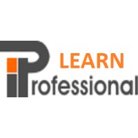 IT Professional Logo