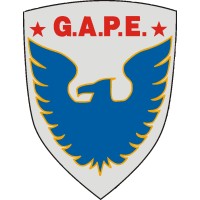 GAPE Terceirização Especializada Logo