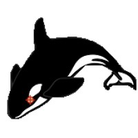 Complexity Solution Experts Logo