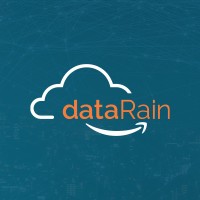 dataRain Consulting Logo