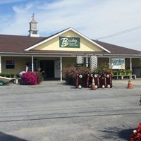 Binley Florist Logo