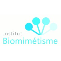 Institut de biomimétisme Logo