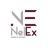 NELEX Audit et Conseil Logo