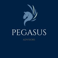 Pegasus Business Solutions Logo