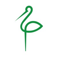 Movi Spa Logo