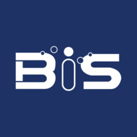 Bis Consulting Logo