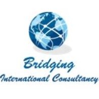 Bridging - International Consultancy Logo