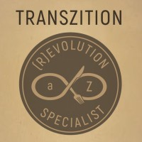 TransZition Logo