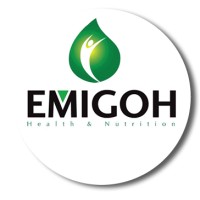 Emigoh Ghana Ltd Logo