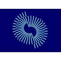 Virtuous Company Consultoria e Educação Executiva Logo