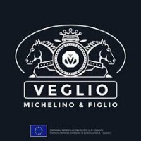 Veglio Michelino & Figlio Logo