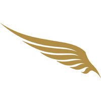 Red Eagle Foundation Logo