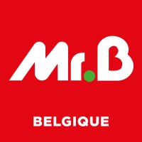 Mr Bricolage Belgique Logo