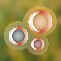 Bodymind Opleidingen Logo