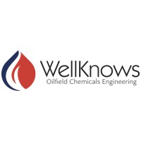 WellKnows Logo