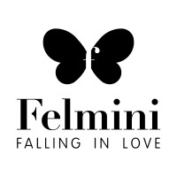 Felmini Logo