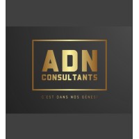 ADN Consultants Logo