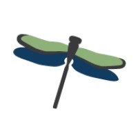 Dragonfly Psychological Associates Logo