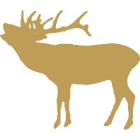 Vicars Game Ltd Logo