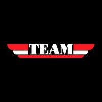 Team Industrial Services Logo