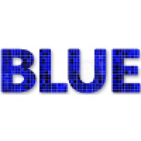 Blue Digital Media Pvt. Ltd. Logo