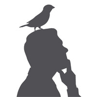 GreymatterFinch Logo
