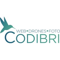 Codibri BV Logo