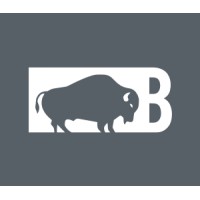 Bison Parts Logo