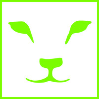 LION Finance Logo