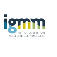 Institut de Génétique Moléculaire de Montpellier (IGMM) Logo