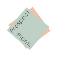 Prospect Plants Logo