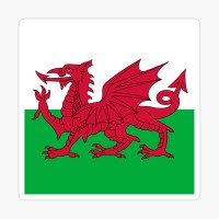 Cardiff Logo