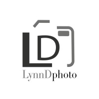 LynnD Photo Logo