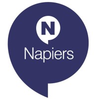 Napiers Financial Services Logo