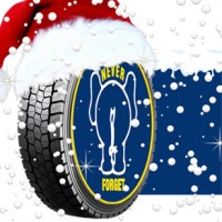 Lodge Tyre Co. Ltd Logo