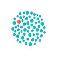 DemNet Hungary (Foundation for Development of Democratic Rights) Logo