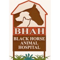 Black Horse Animal Hospital Logo