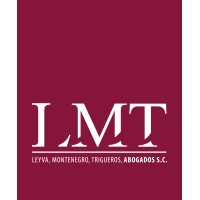 Leyva, Montenegro, Trigueros, Abogados S.C. Logo