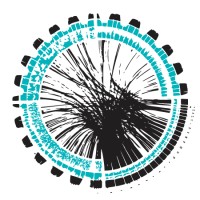 RAIN Incubator Logo