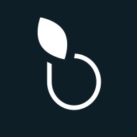 Iceberry Logo
