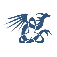 Network Paladin LLC. Logo
