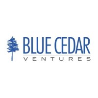 Blue Cedar Ventures Inc. Logo
