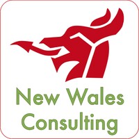 New Wales Consulting Logo