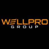 Wellpro Group Logo