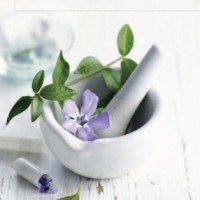 Potpourri of Health Logo