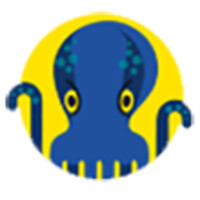 JetOctopus.com Logo