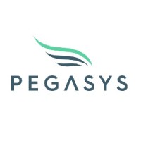 PegaSys Protocol Engineering Logo