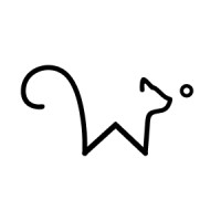 Wisercat Logo