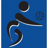 Dig This Volleyball Logo
