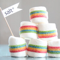 SALT Project Logo